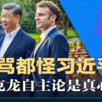Japan Times>>Frankreich/Macron: Ukraine-Friedensinitiative zusammen mit China